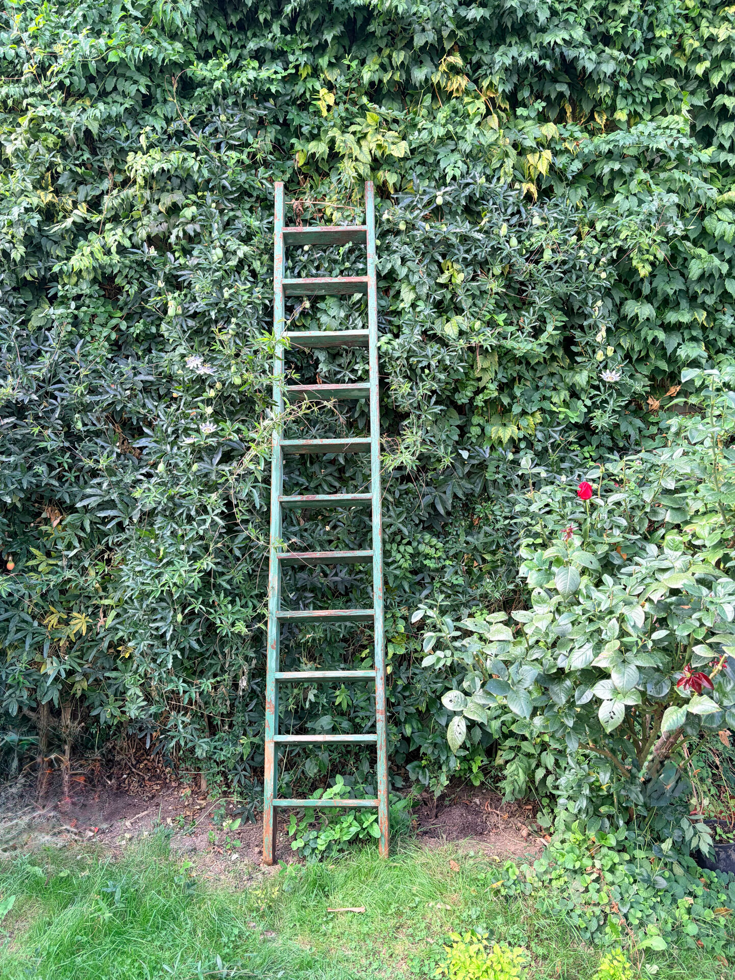 Ancienne échelle de meunier en bois