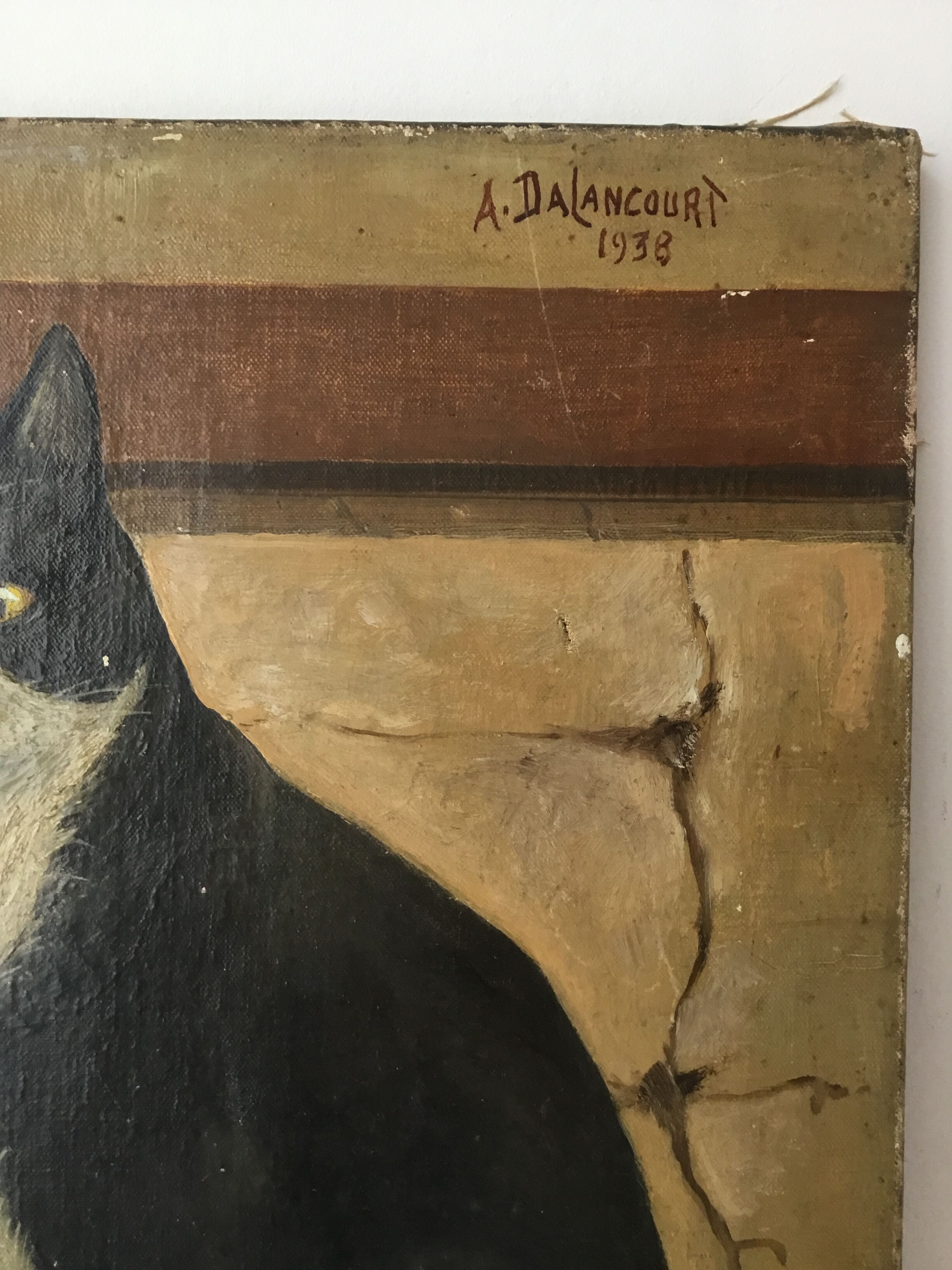 Portrait de chat 1938