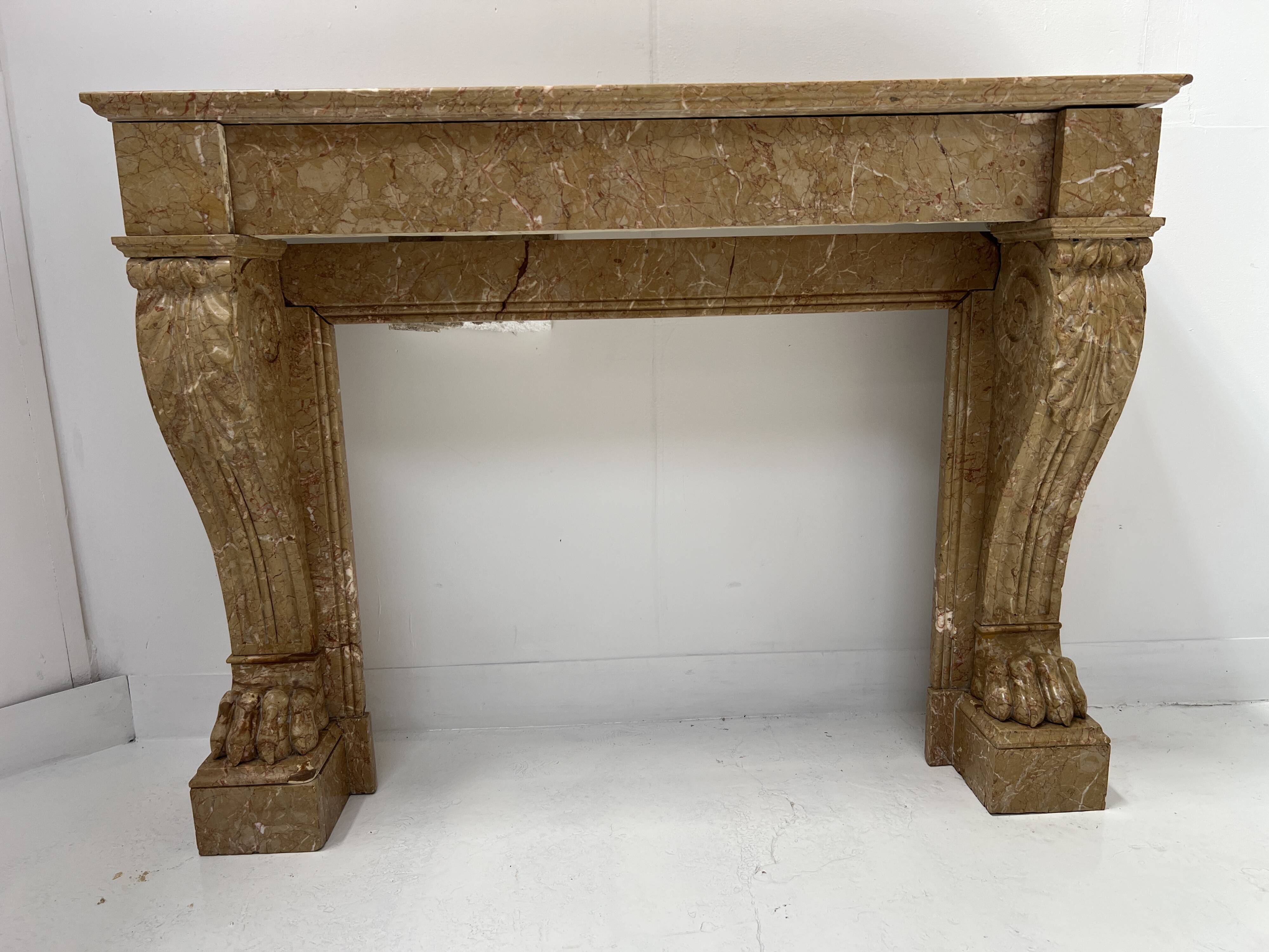 Napoleon III fireplace with claw feet in speckled marble, 19th century.