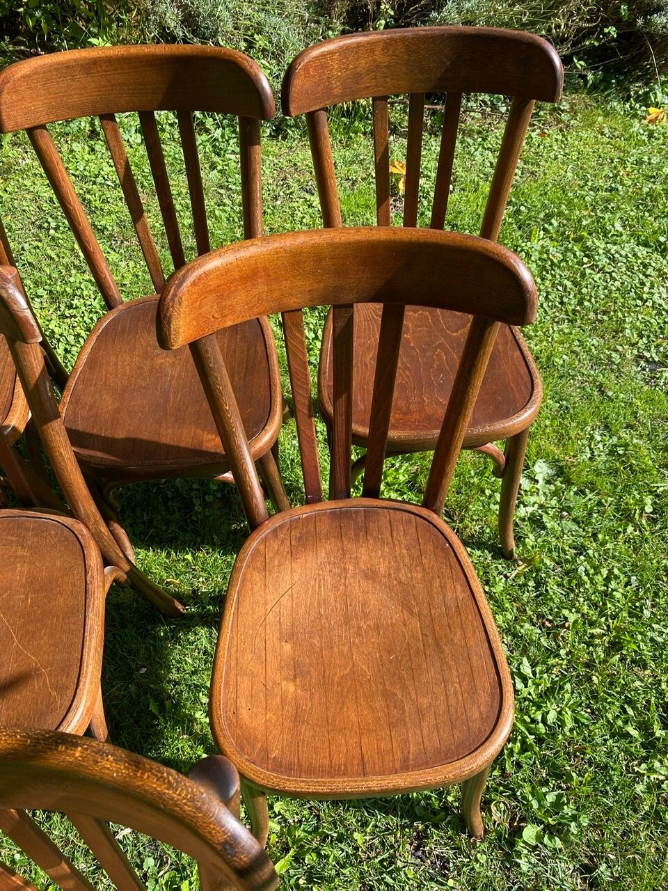 Set of 6 chairs bistro Fischel early XX century