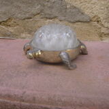 Vintage flower turtle