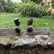 old cast iron fire grates