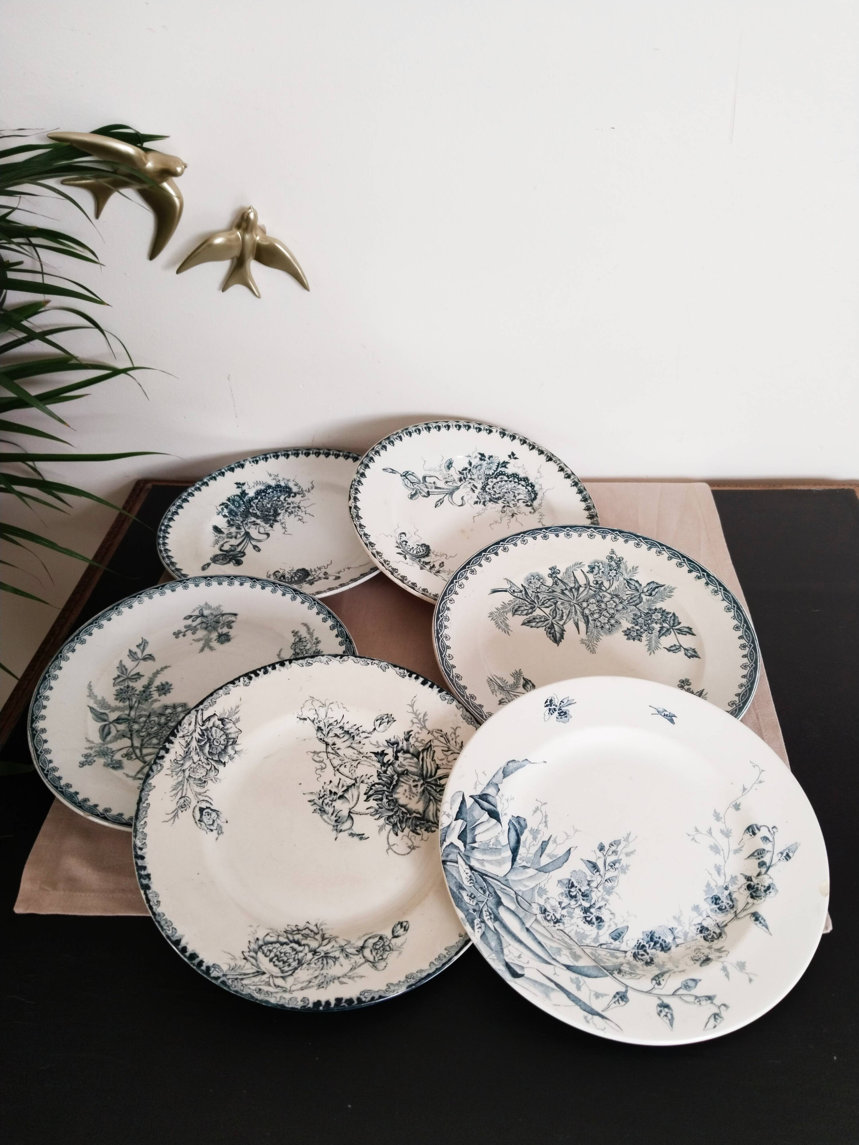Set of 6 dinner plates in Terre de fer earthenware, blue color