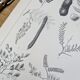 Printed in 1889, legumes. Antique botanical plate.