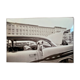 “Dog Leaning Out Car Window” – 1960, New York - Photo by Angelo Rizzuto