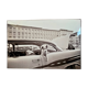 “Dog Leaning Out Car Window” – 1960, New York - Photo by Angelo Rizzuto