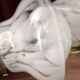 Paire d’appliques murales globes blancs