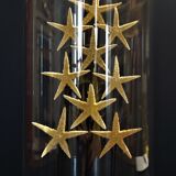 Cabinet of Curiosities globe with starfish asteroidea sp.