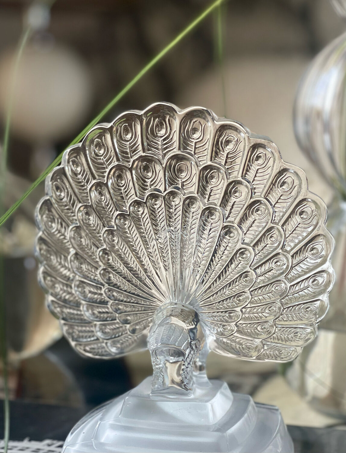 Crystal peacock book greenhouse