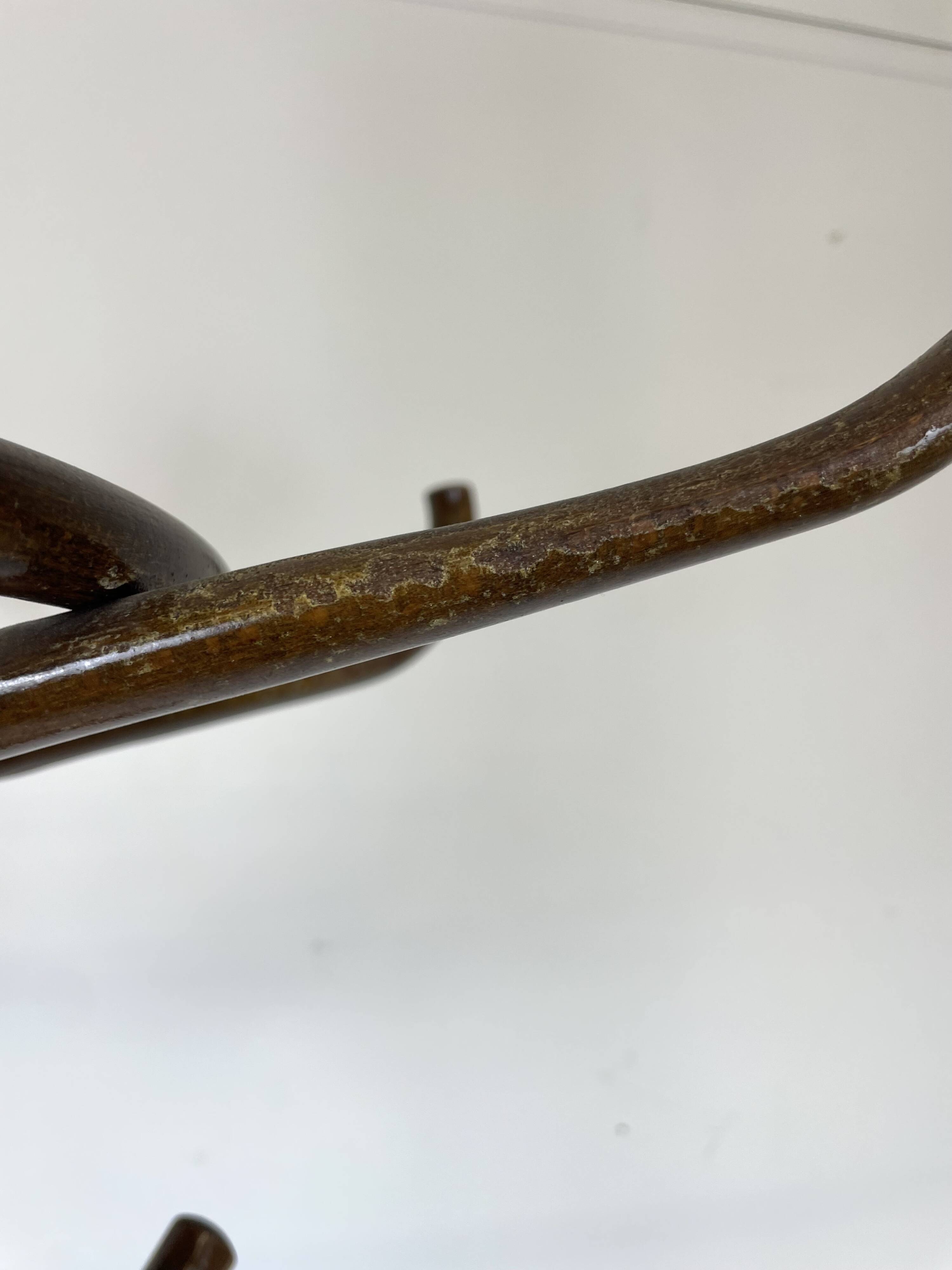Parrot Coat Rack in Curved Wood-526001