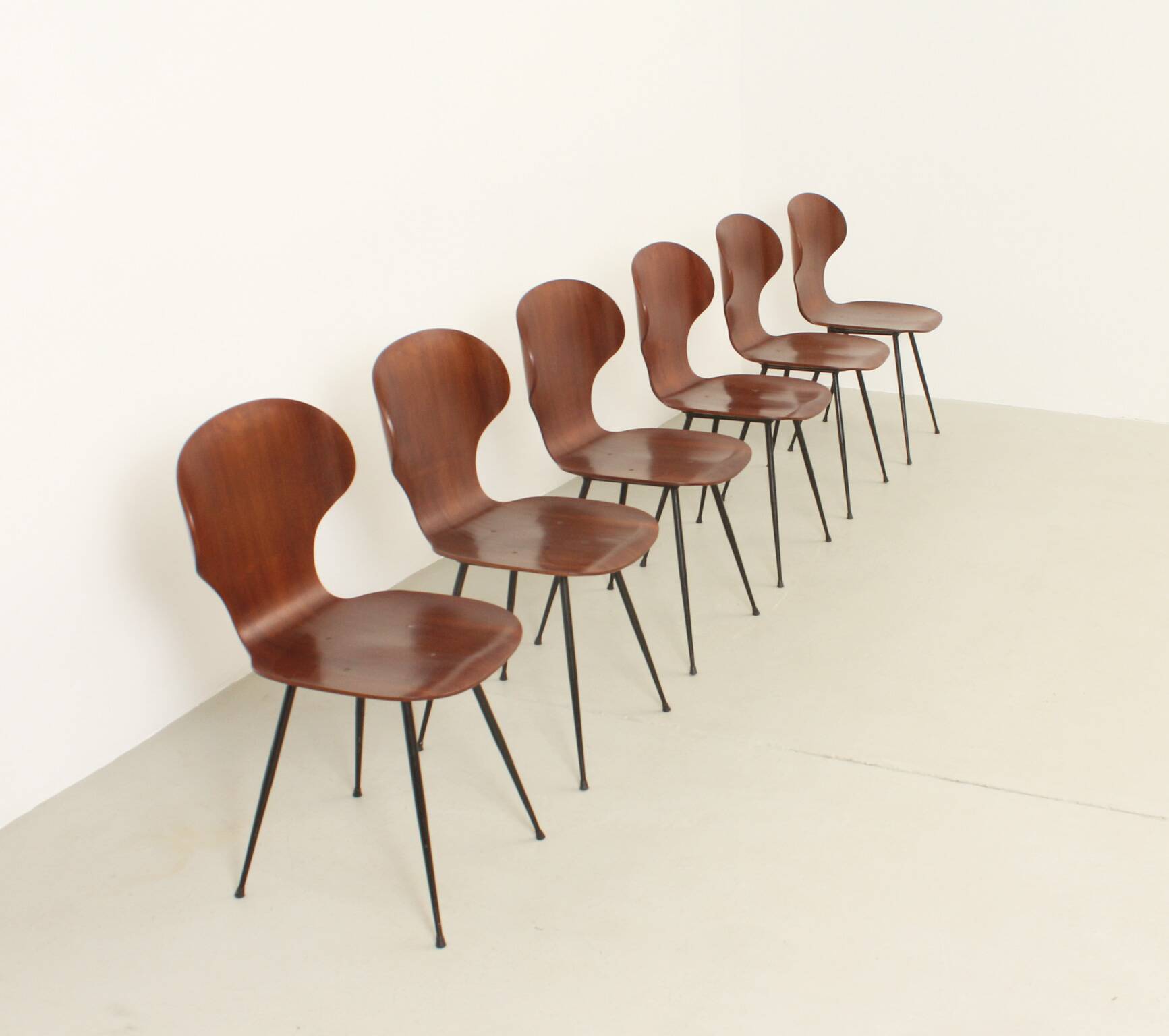 Six plywood chairs by Carlo Ratti, Italy, 1950s.