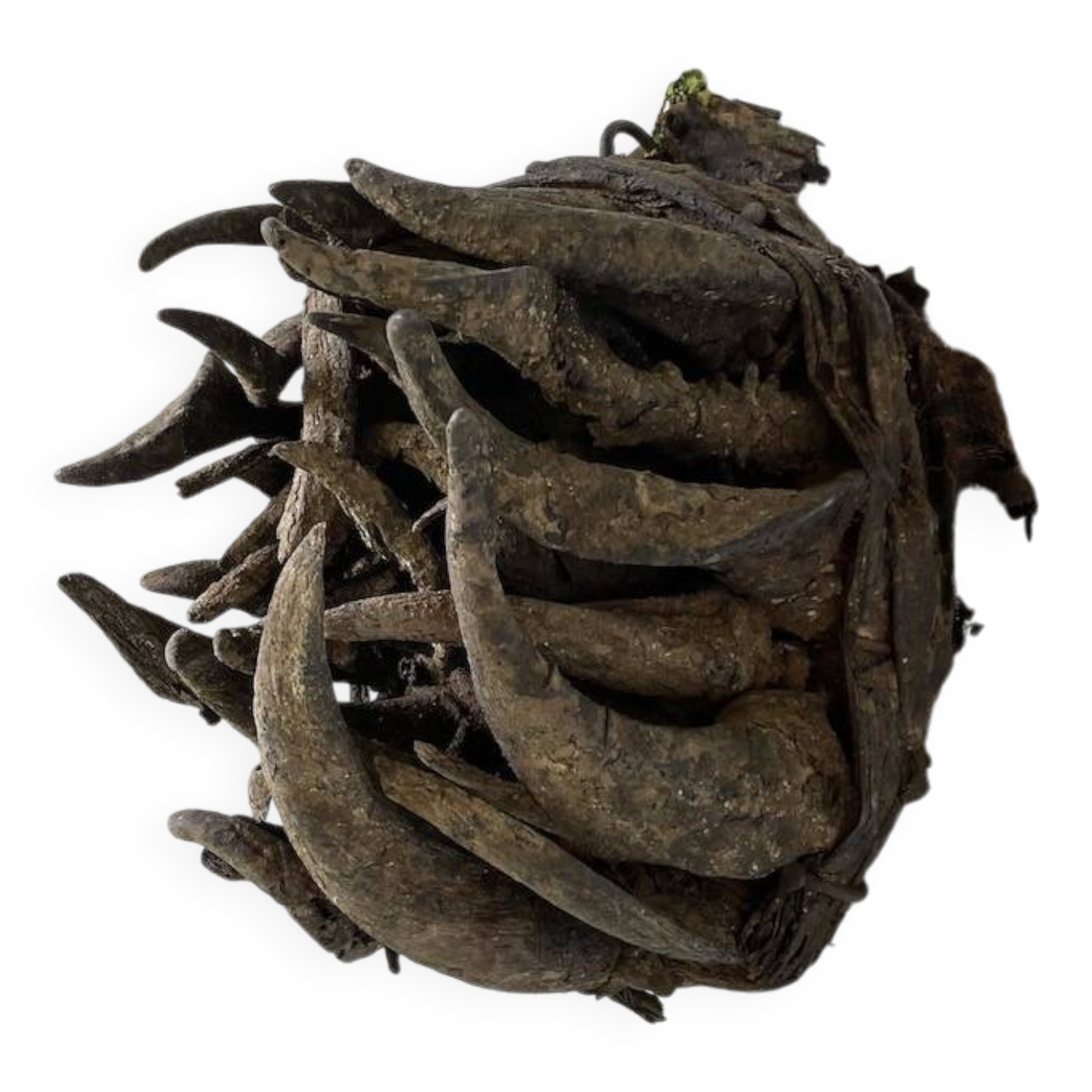 Bété Nyabwa mask Ivory Coast