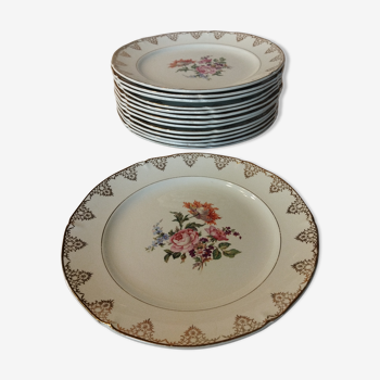 14 assiettes plates Céranord Eve