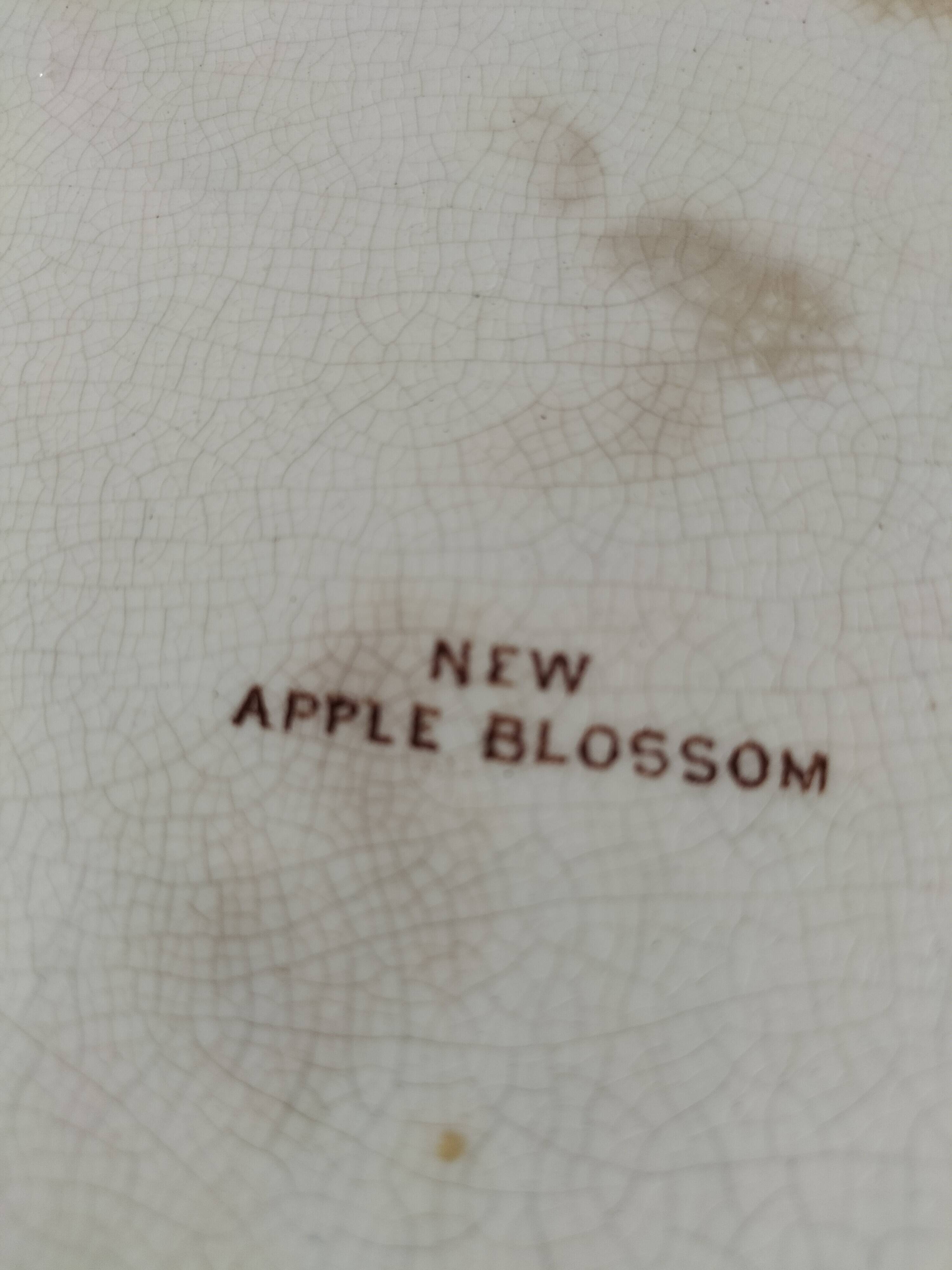 New Apple Blossom rectangular antique dish