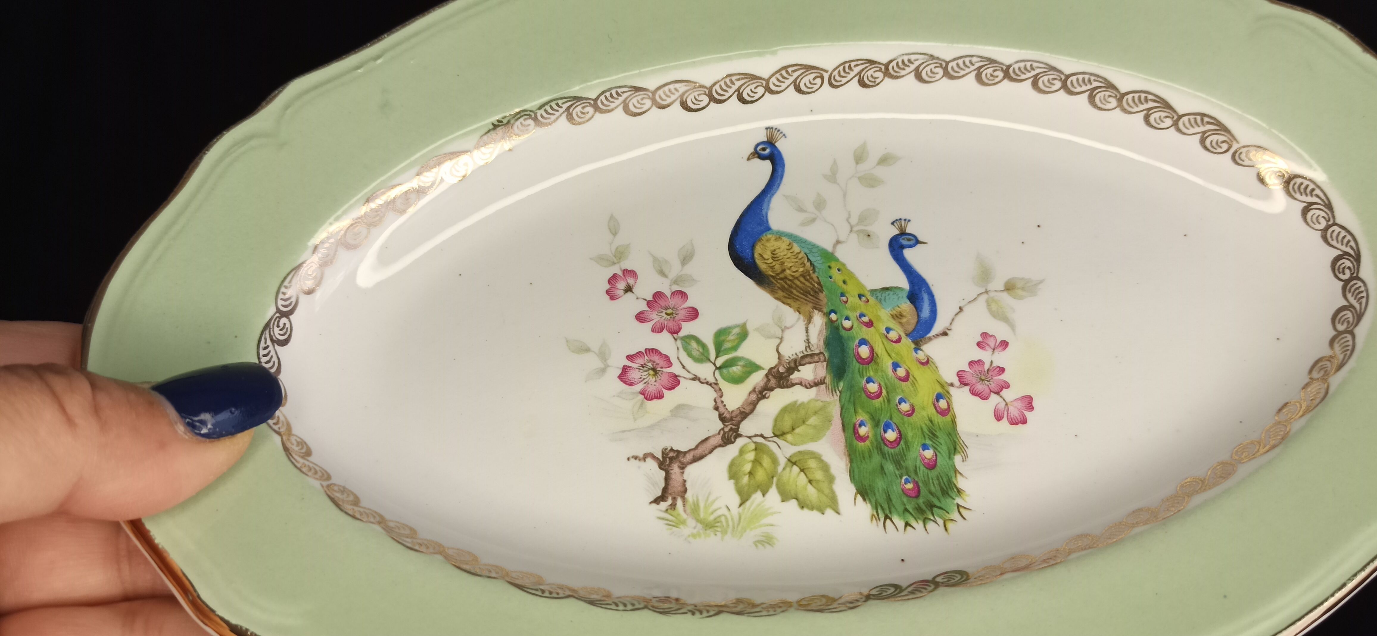 Raviers - Peacock décor - L'Amandinoise