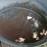 Large oval zinc basin