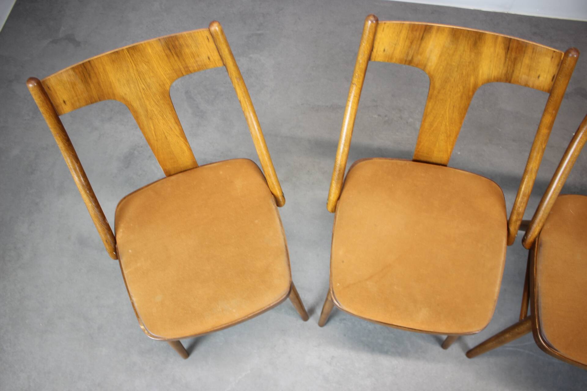 Set of four walnut dining chairs, Czechoslovakia, 1950s