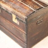 Large old curved trunk