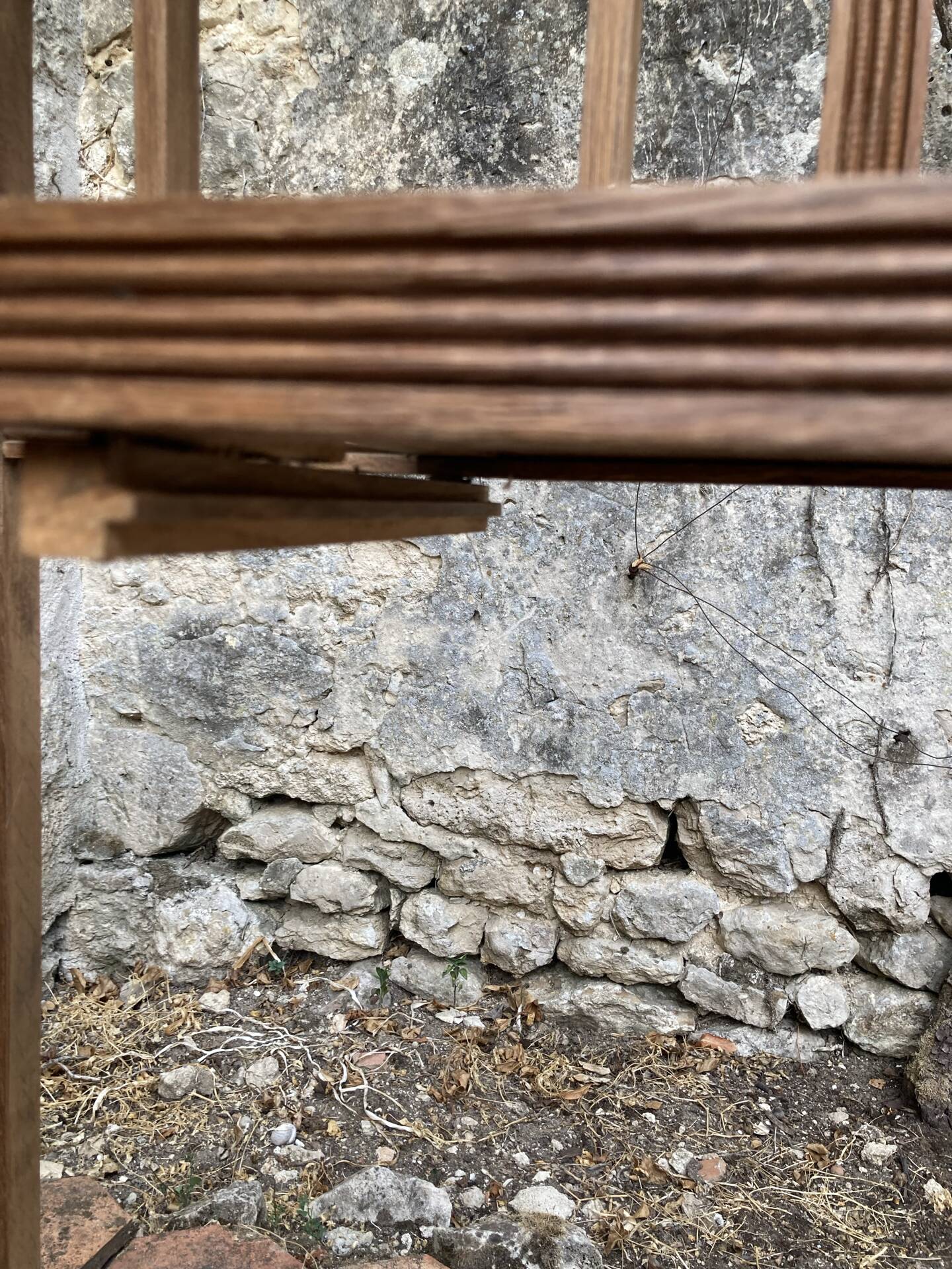 Old wooden entrance coat rack
