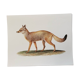 Planche zoologique