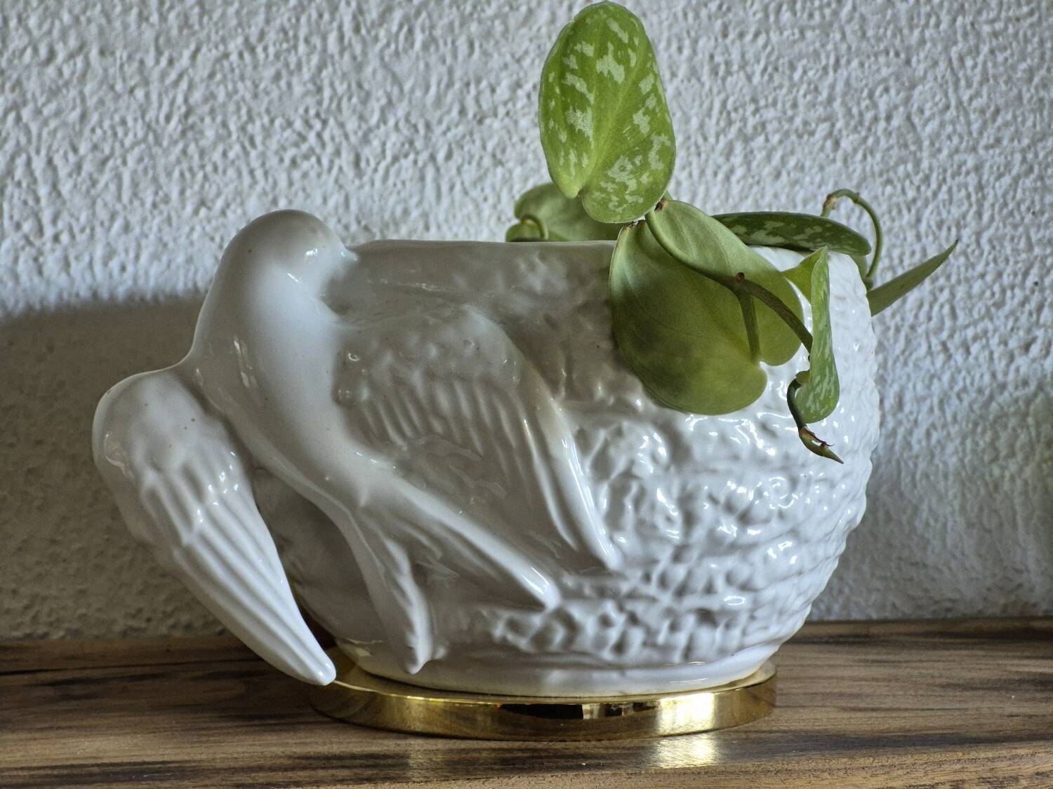 Bird planter