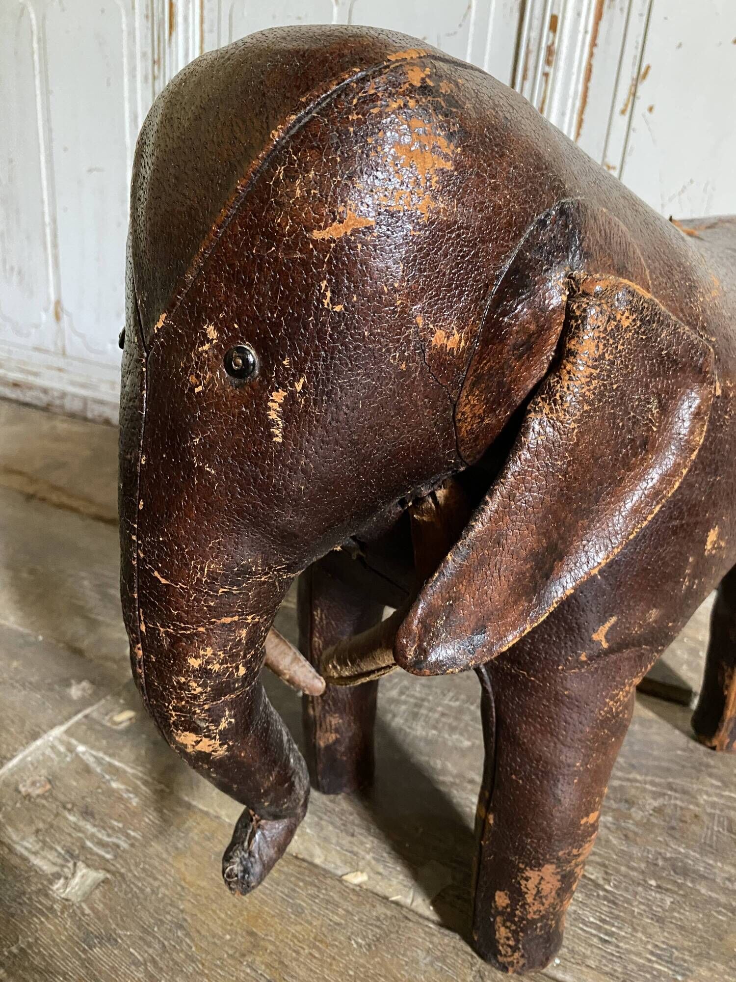 Elephant Dimitri Omersa