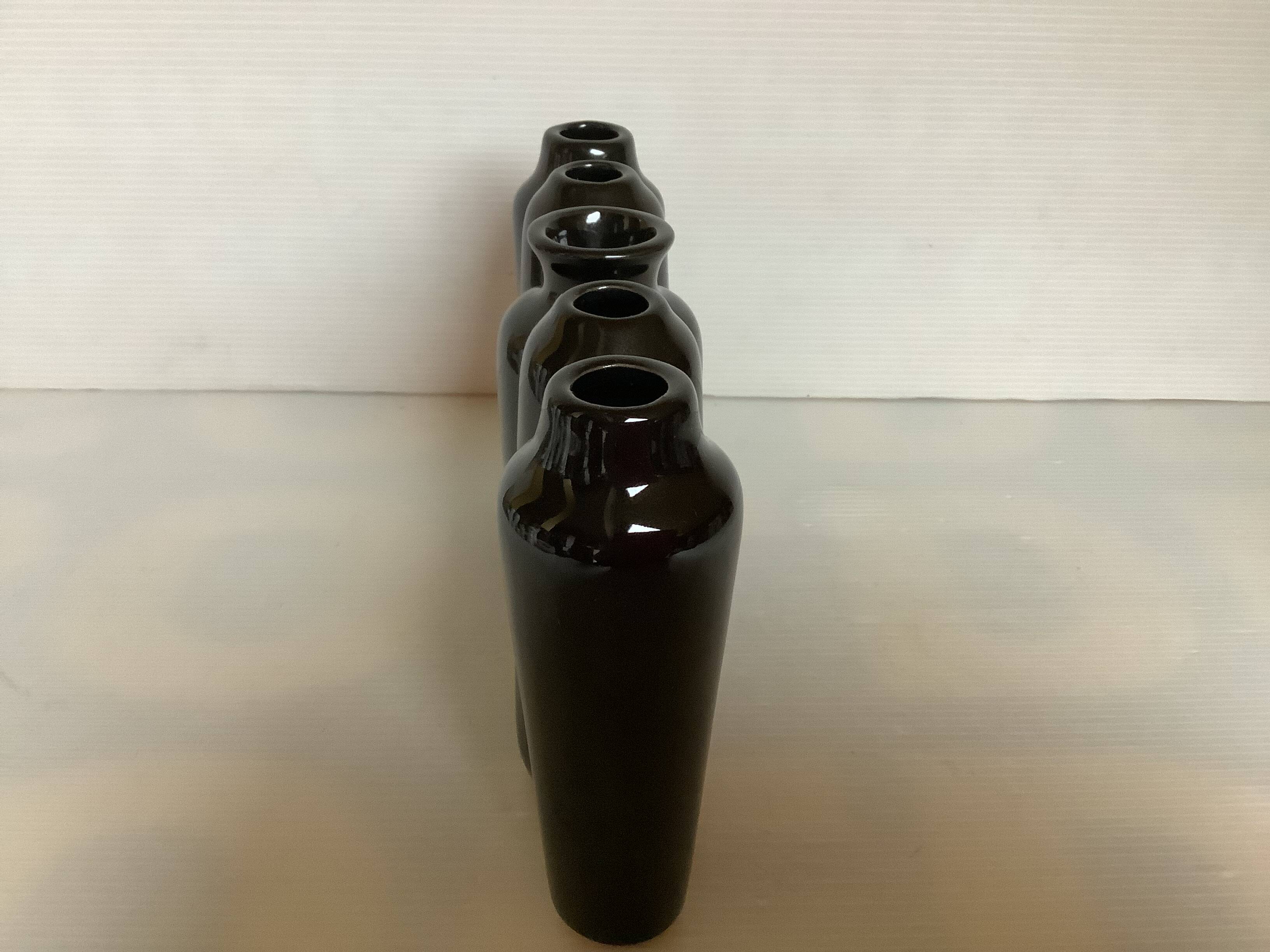 Black tulip flower spike vase