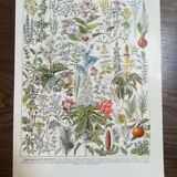 Set of 3 lithographs