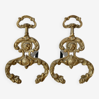 Pair of brass andirons, lion head