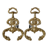 Paire de chenets en laiton , tête de lion