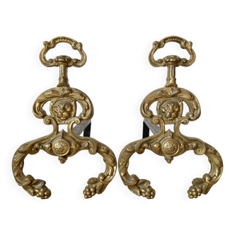 Pair of brass andirons, lion head