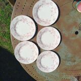 Iron earth dessert plates