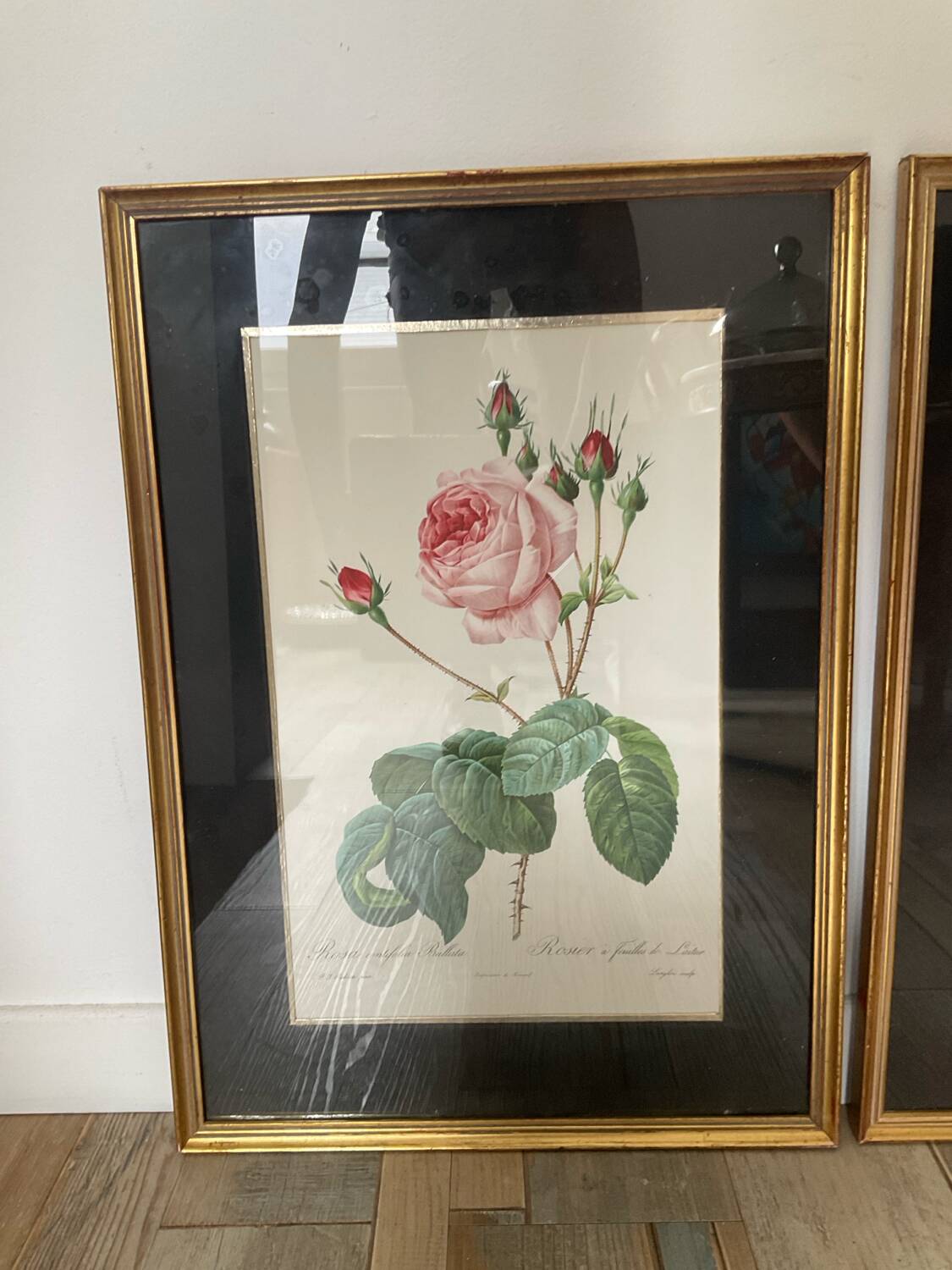 Pair of gilded wooden botanical frames from the 70s