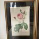 Pair of gilded wooden botanical frames from the 70s