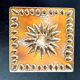Decorative ceramic tile 1950/1960 by Périgordine pottery
