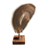 Mineralogy agate slice on base