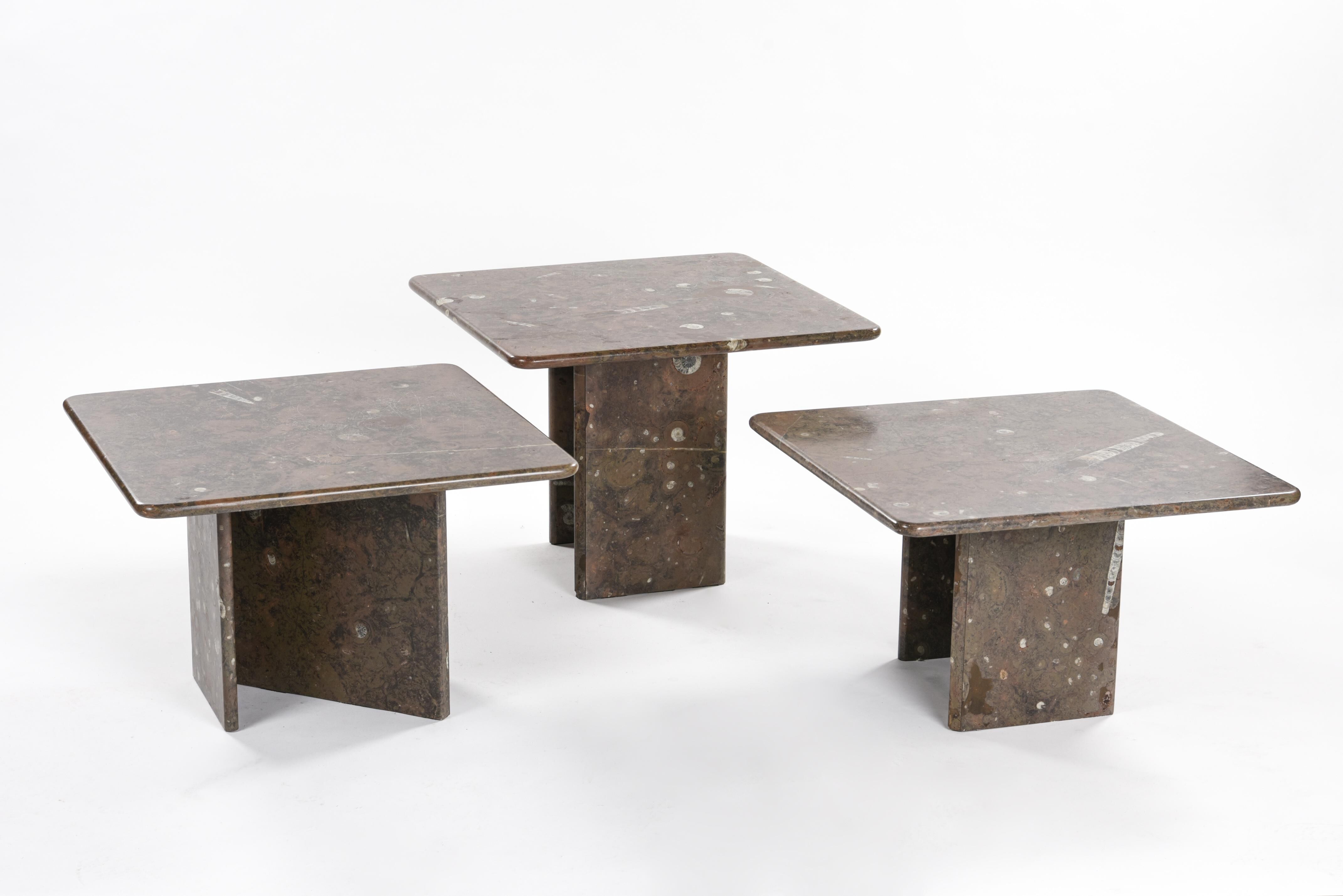 Fossilized stone nesting tables