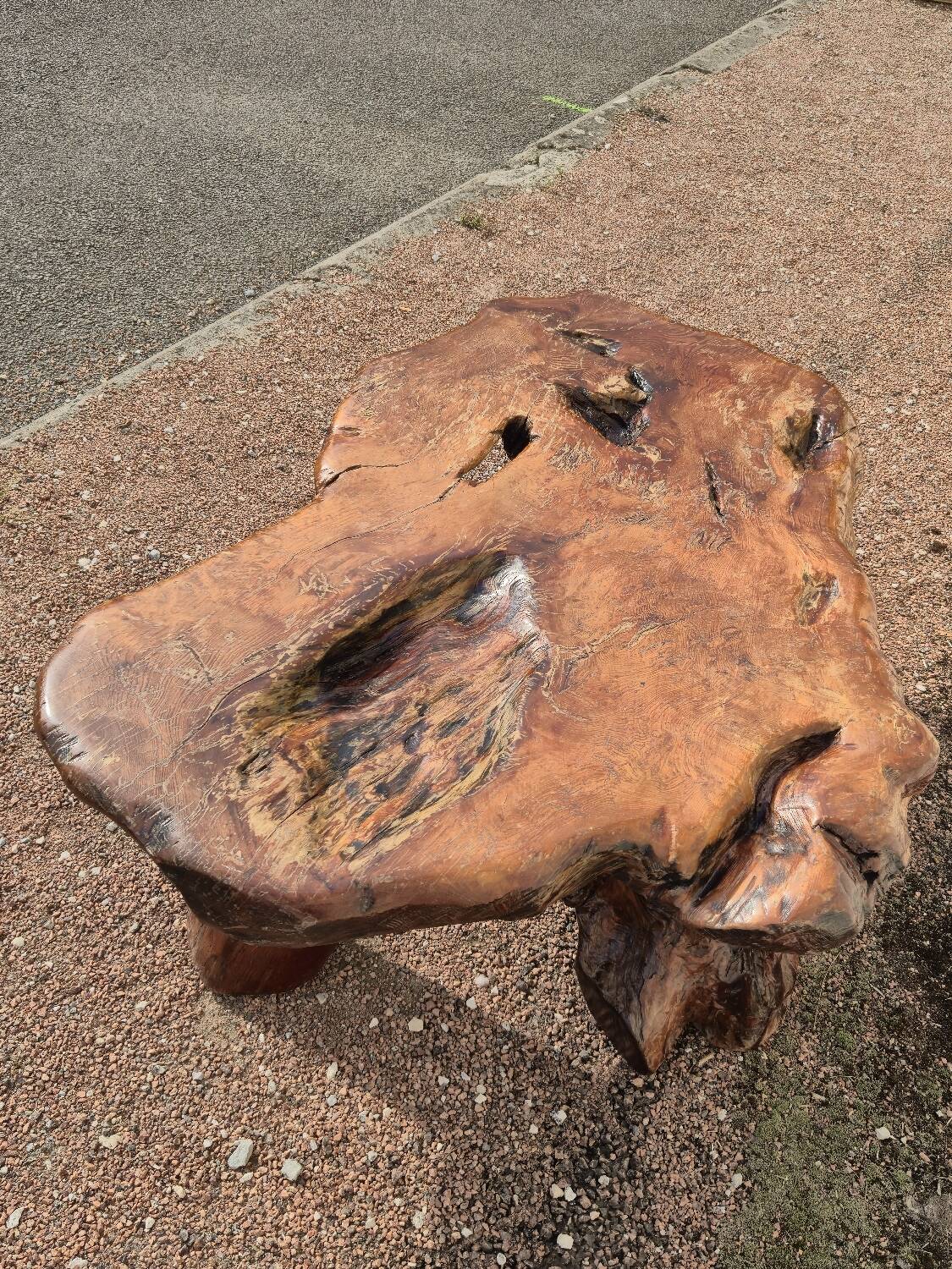 Brutalist coffee table made from solid elm tree trunk, 1950s