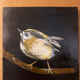 Bird painting - oil