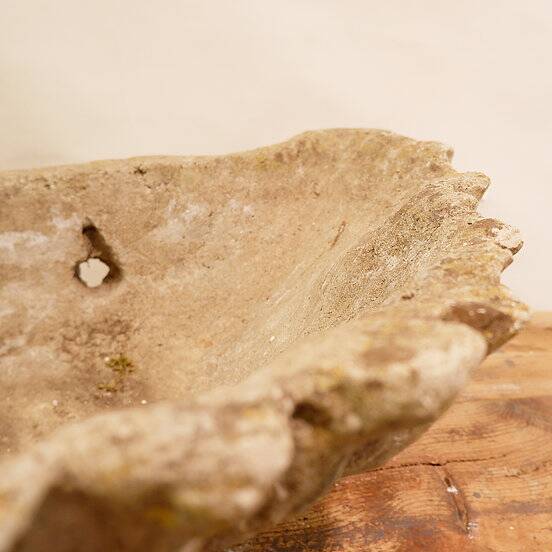 Antique Cement Shell Bird Bath