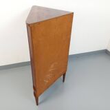 Vintage Scandinavian teak storage corner cabinet from the 60s