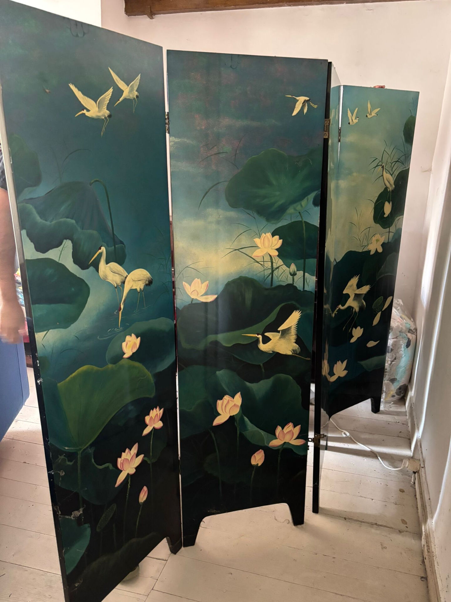 Asian screen (Vietnam - China)