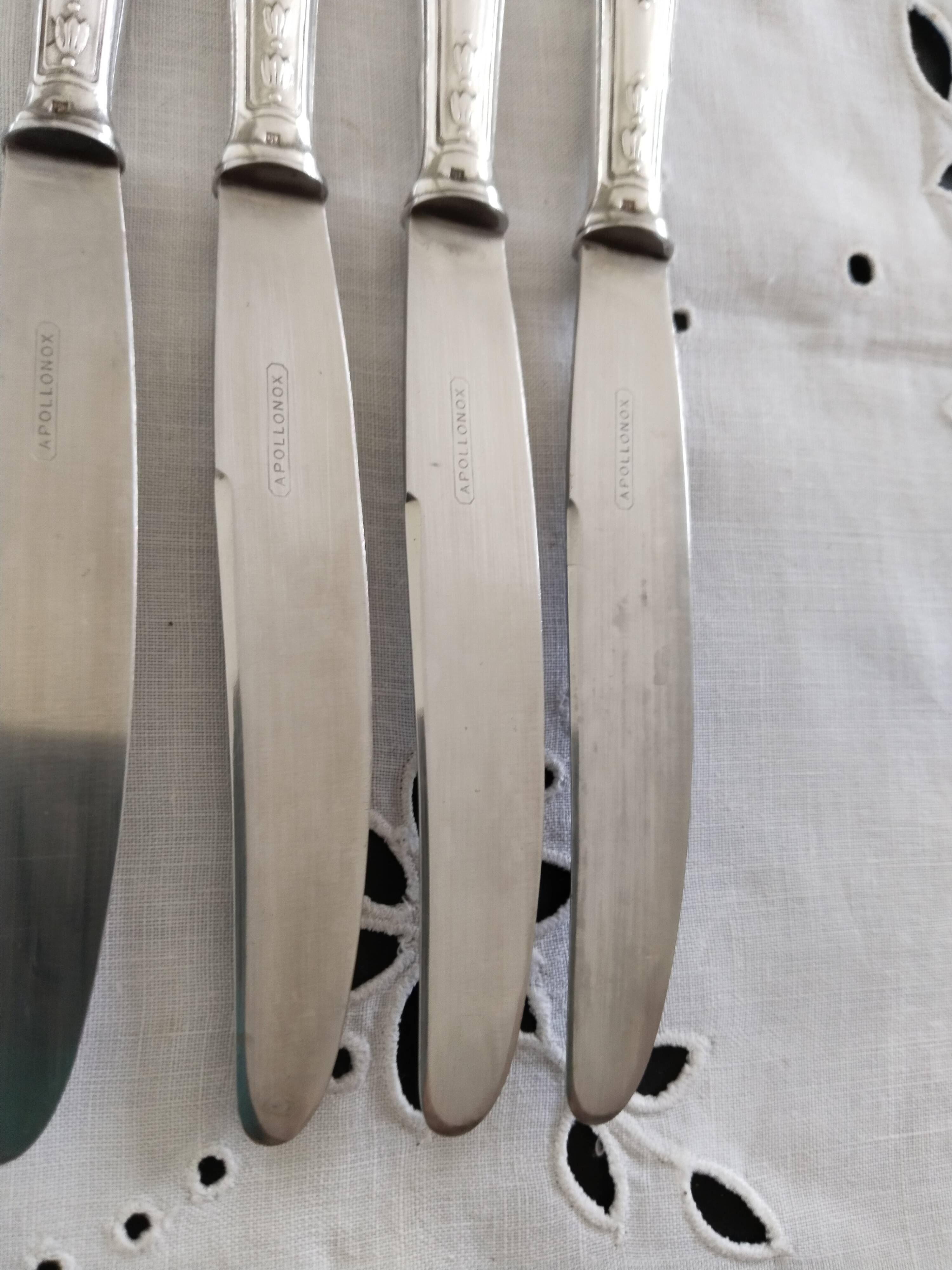 Set of 12 vintage knives, stainless steel blade and silver handle + box