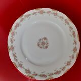 9 plates limoges haviland, years 1230