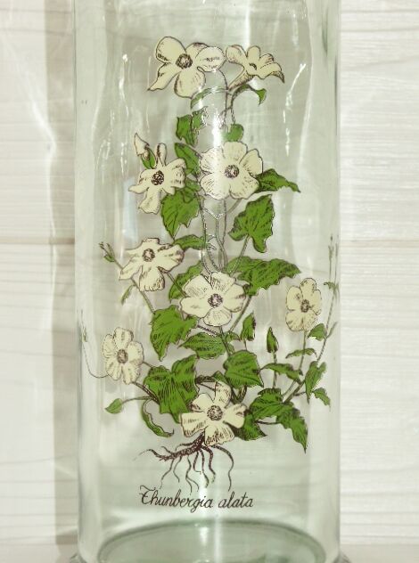 Glass kitchen pot - vintage cork from the 70s