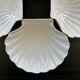 Set of 4 shell-shaped bowls