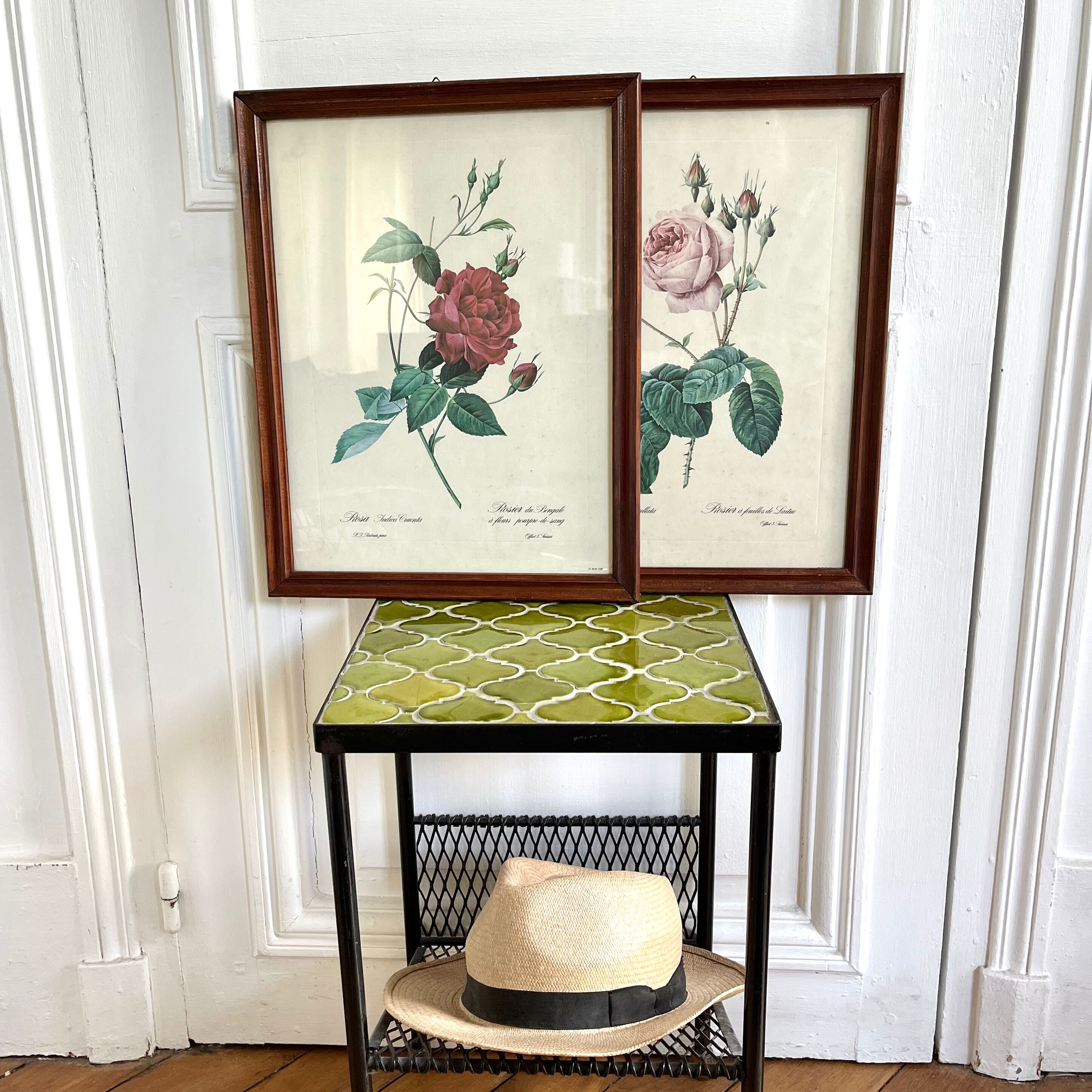 Framed pink botanical posters