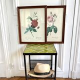 Framed pink botanical posters