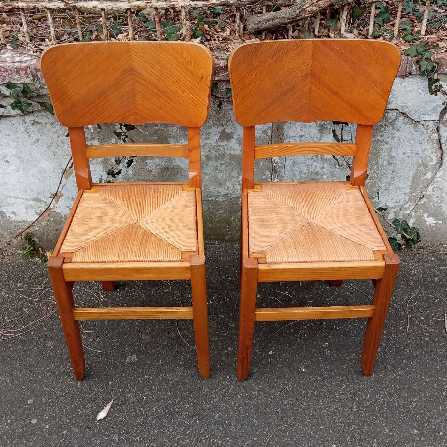 Paire de chaises paillées années 50