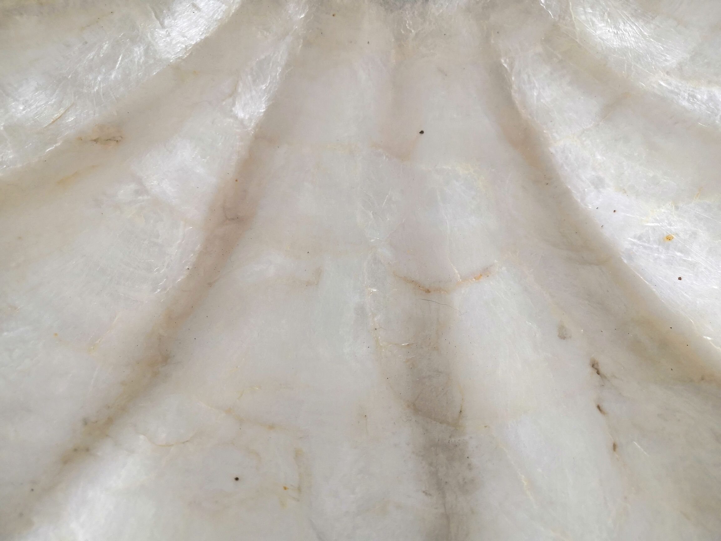Mother-of-pearl tray design 60s - 70s